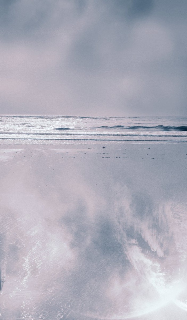 Мир лошадей