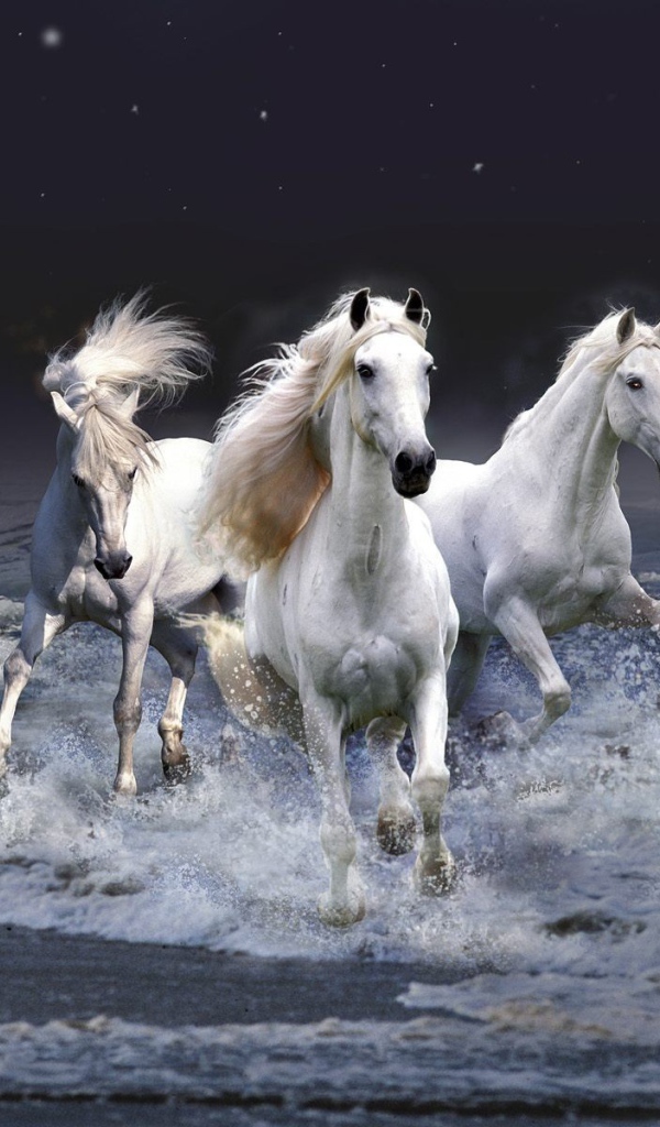 Тройка белых лошадей