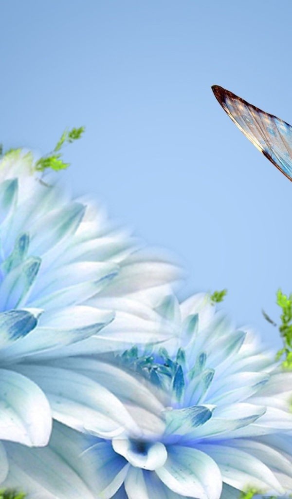 Бабочка над голубым цветком