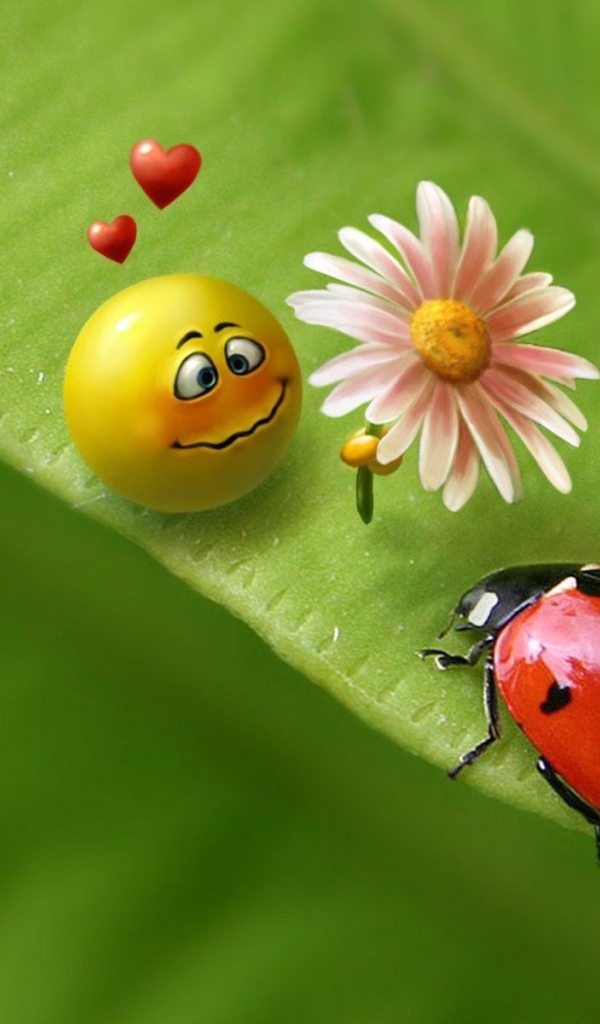 Смайлик и божья коровка