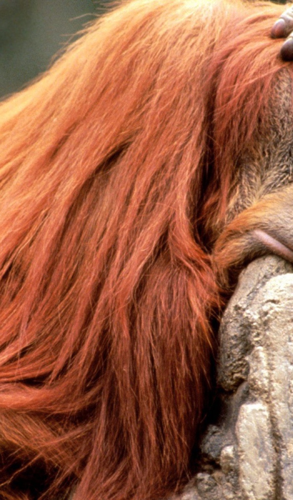 Что то я сегодня плохо выгляжу