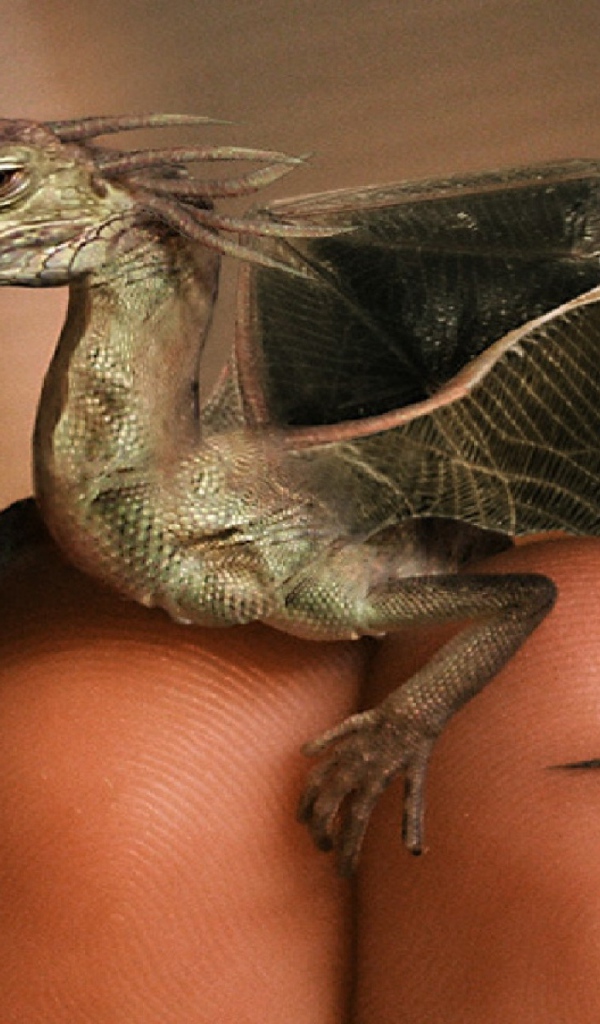 Дракон на пальцах