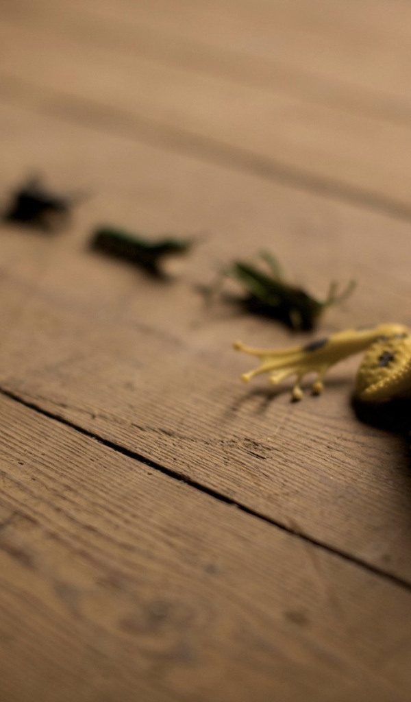 Лягушка и кузнечики