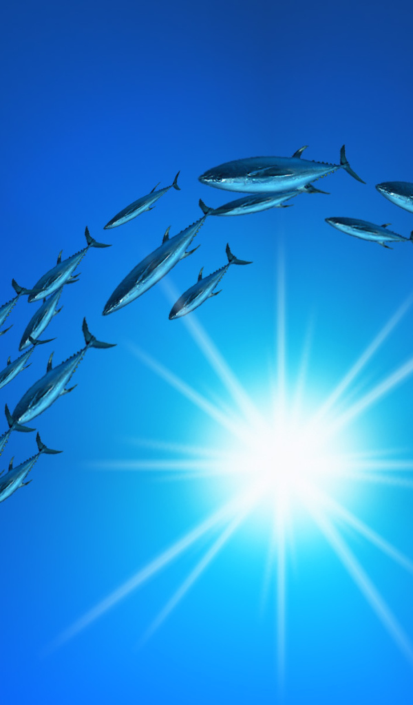 Плывет стая тунцов