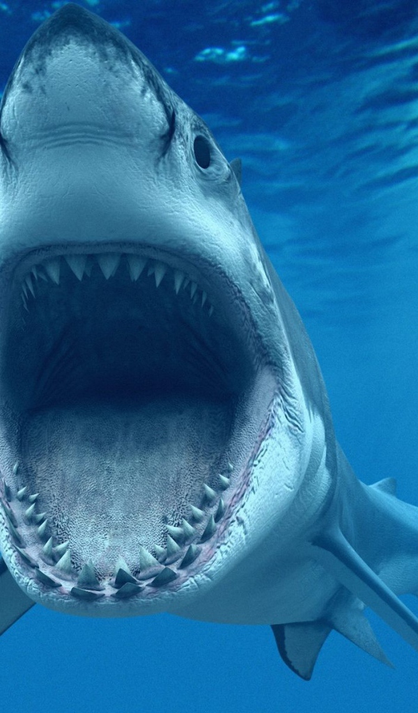 Зубастая Пасть акулы