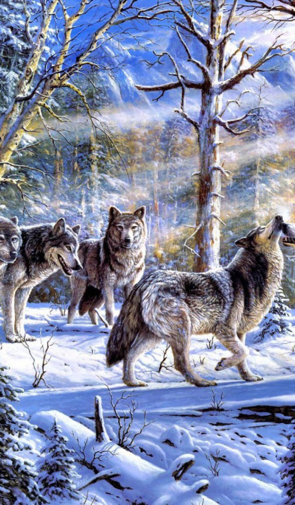 Стая волков на снегу