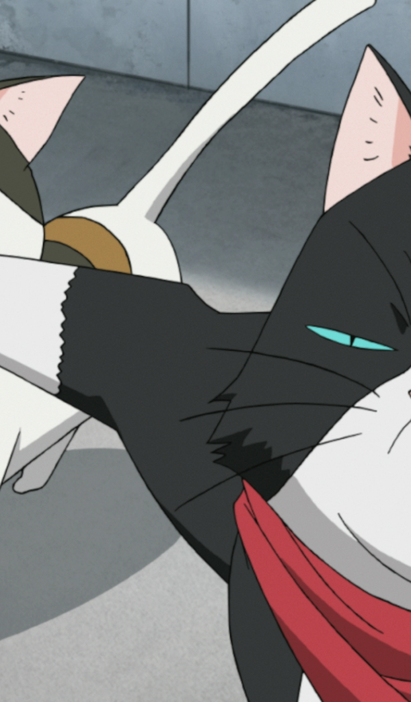 Кошачьи прихоти