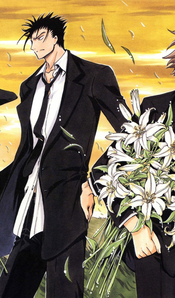 Хроника Крыльев