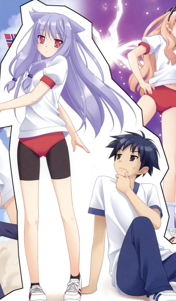 Нашествие бродячих кошек!