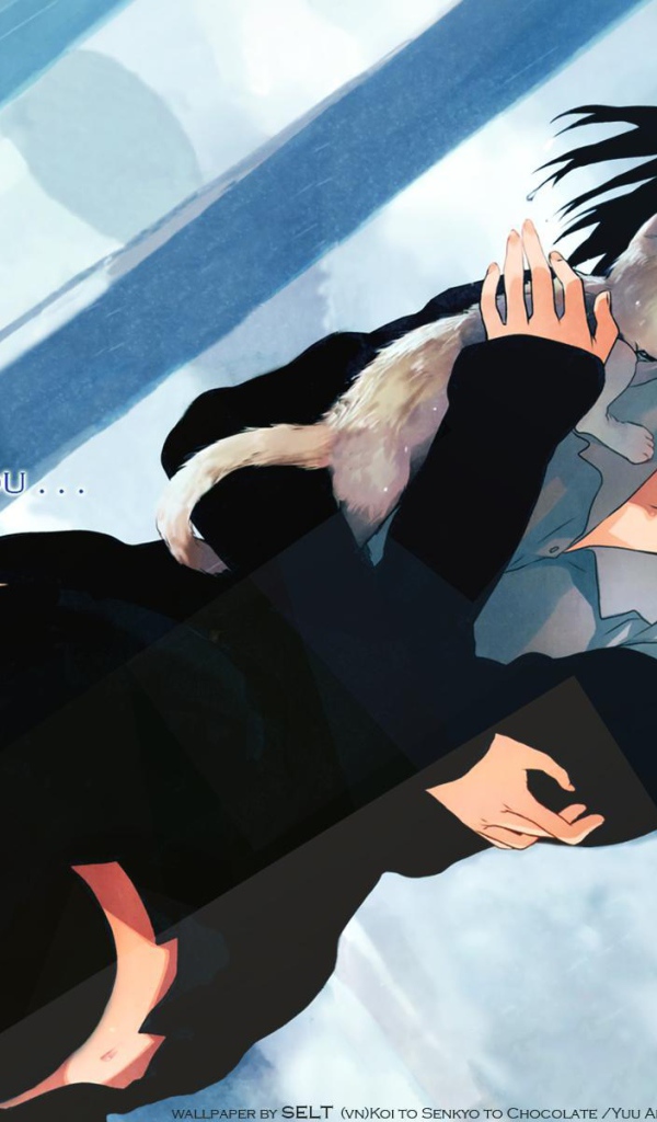 Любовь, выборы и шоколад