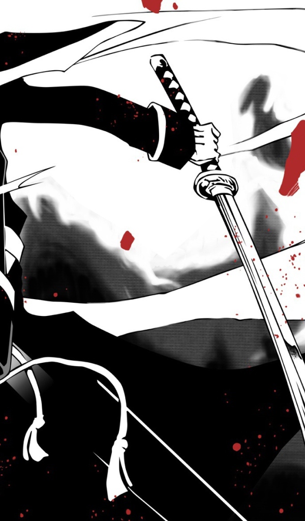 Ниндзя-воин Тобикагэ