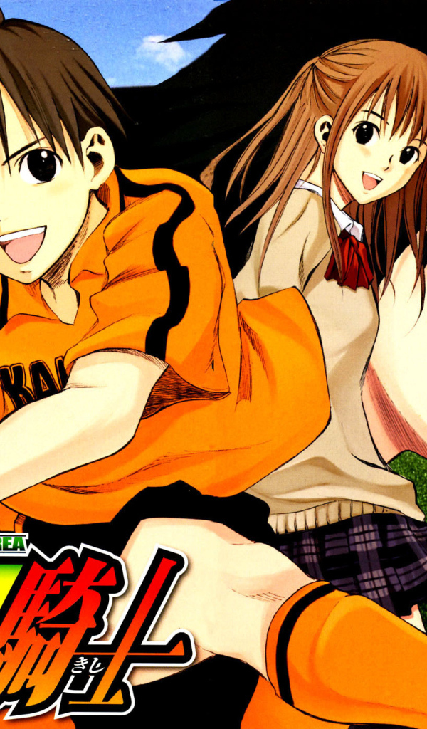 Паладин на поле