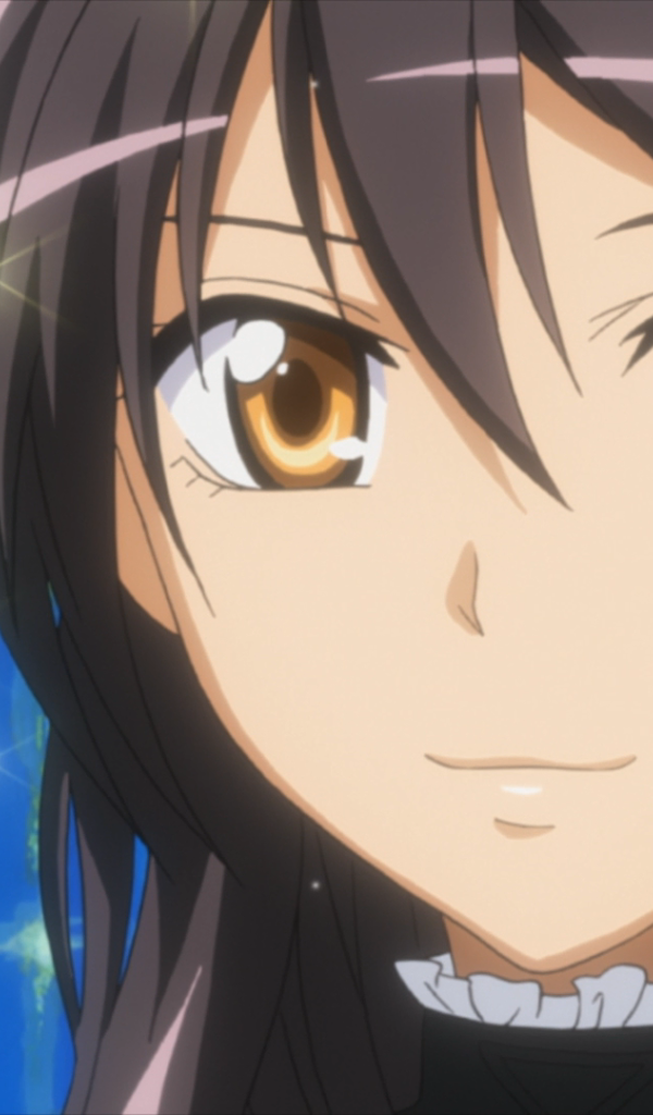 Президент учсовета - горничная!