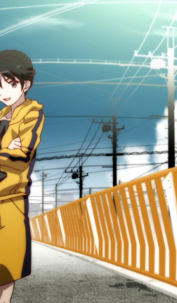 Истории подделок