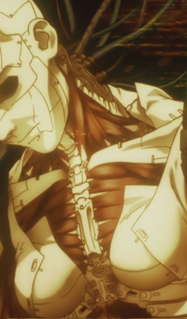 Аниматрица