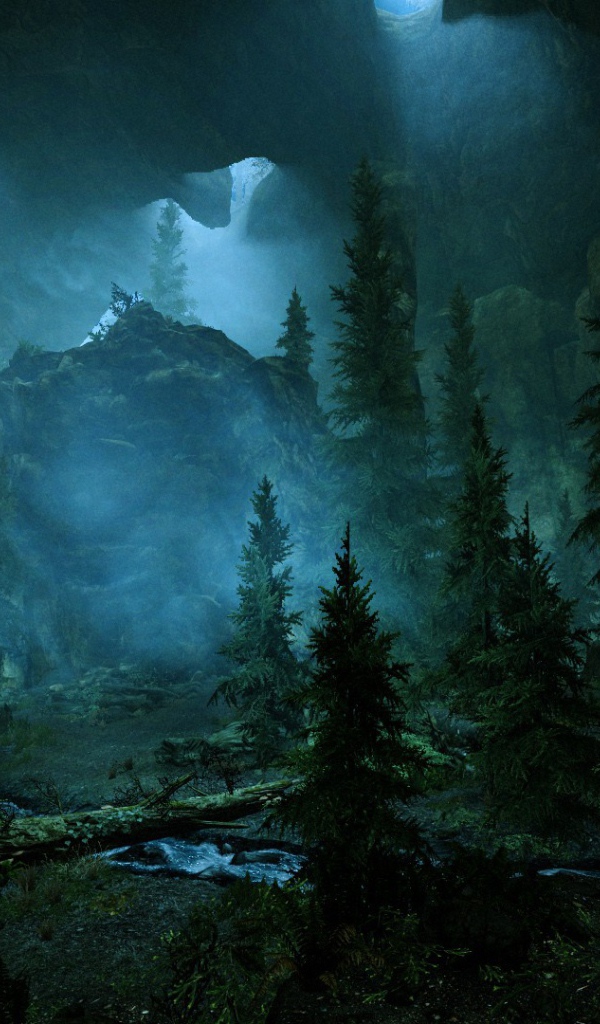 Старец Скроллс 5 дремучий лес