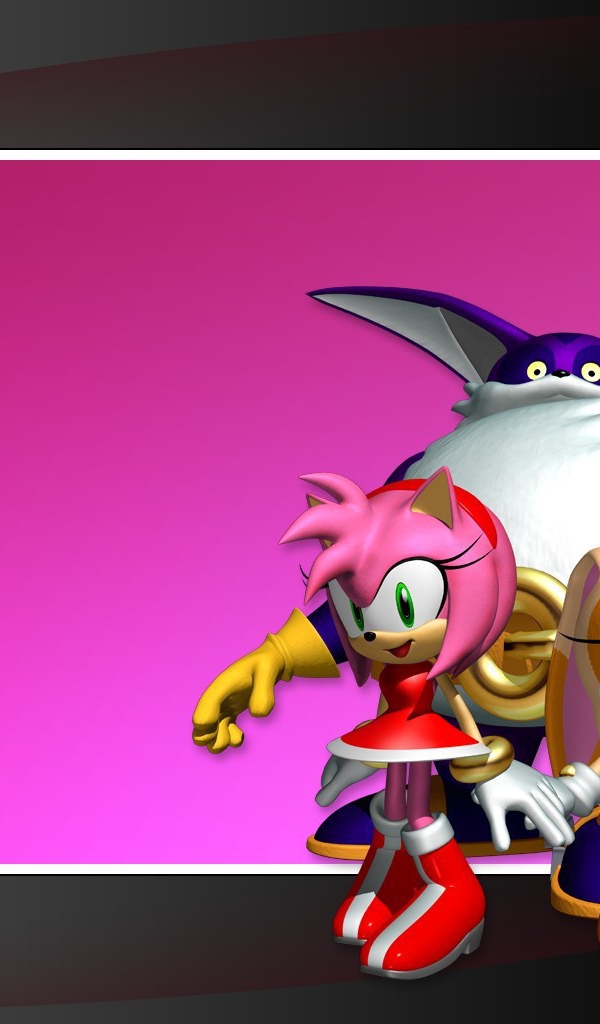 Герои Соник