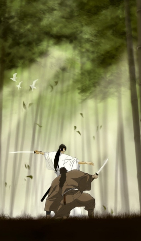 Манускрипт ниндзя