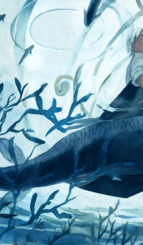 Мастер Муси