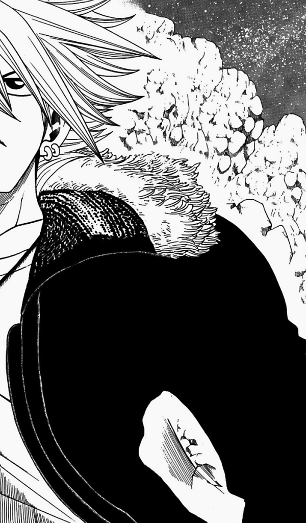 Рэйв Мастер