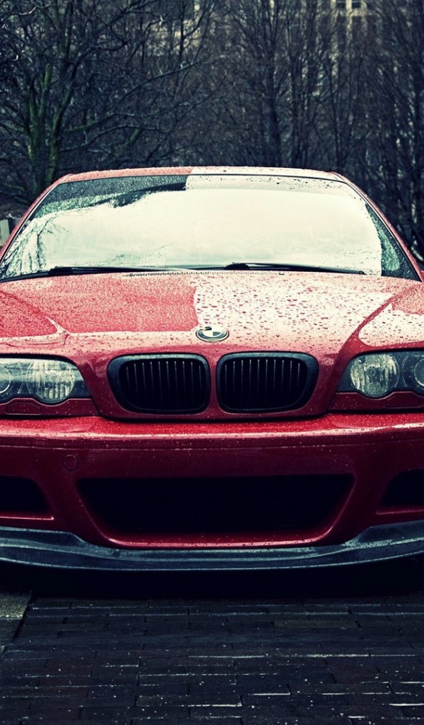 BMW E46 под дождем