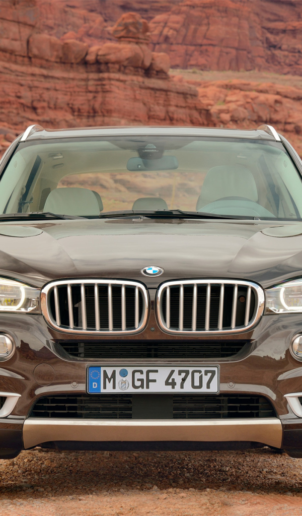 Коричневый BMW X4 кроссовер