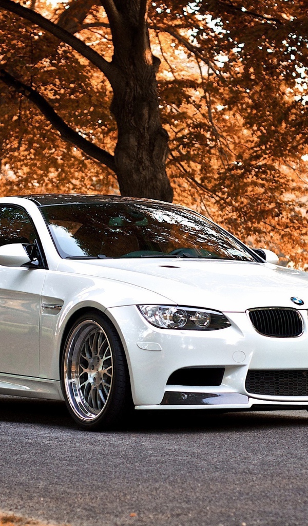 Белый BMW В осеннем парке