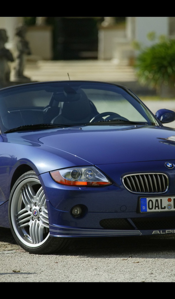 Синий BMW Alpina