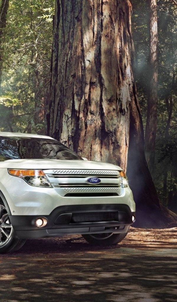 Ford nature super cars vehicles wallpaper