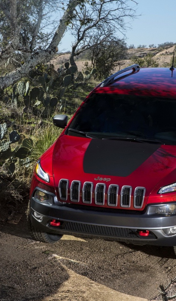 Американский автомобиль на природе