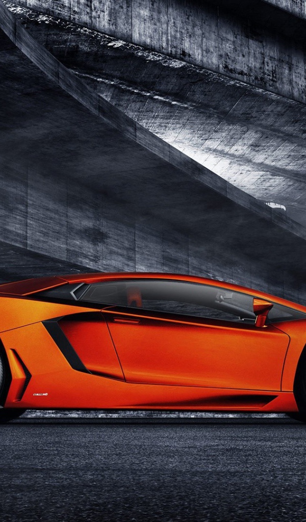 Lamborgini спецраскраски