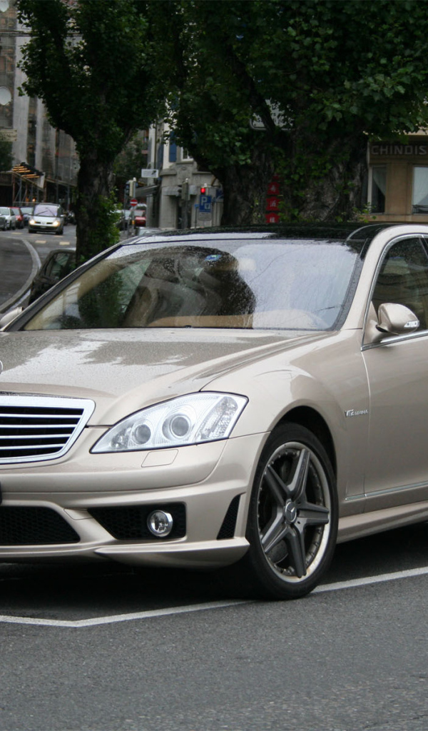  Светло-коричневый Mercedes-Benz S65 AMG