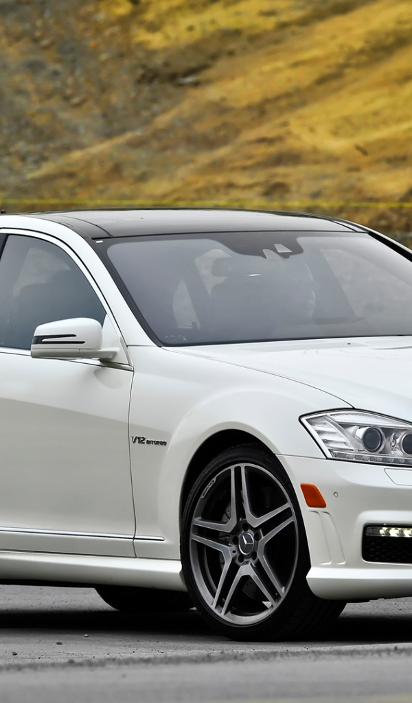 Белый Mercedes-Benz S65 AMG в парке