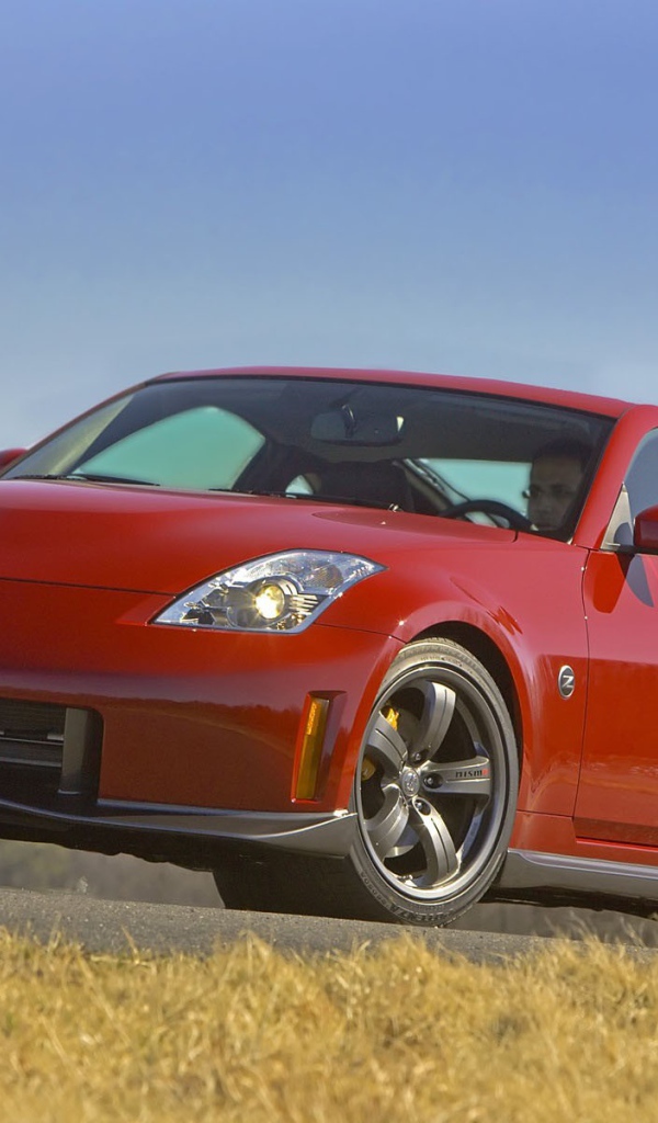 Автомобиль Ниссан двухдверный