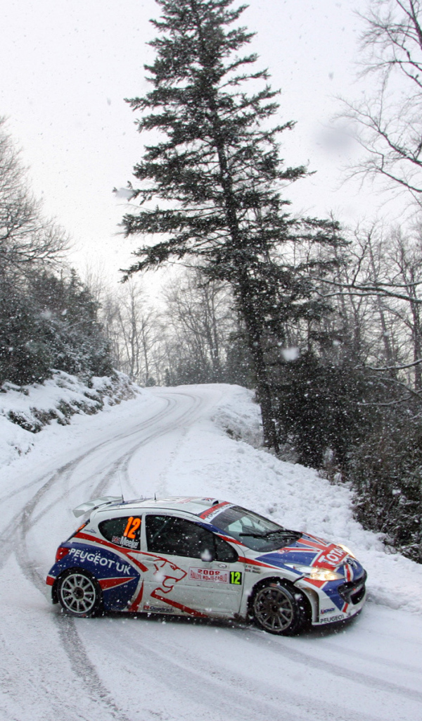 Пежо на зимних ралли