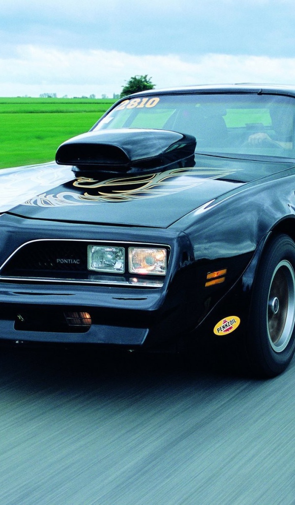 Pontiac на дороге