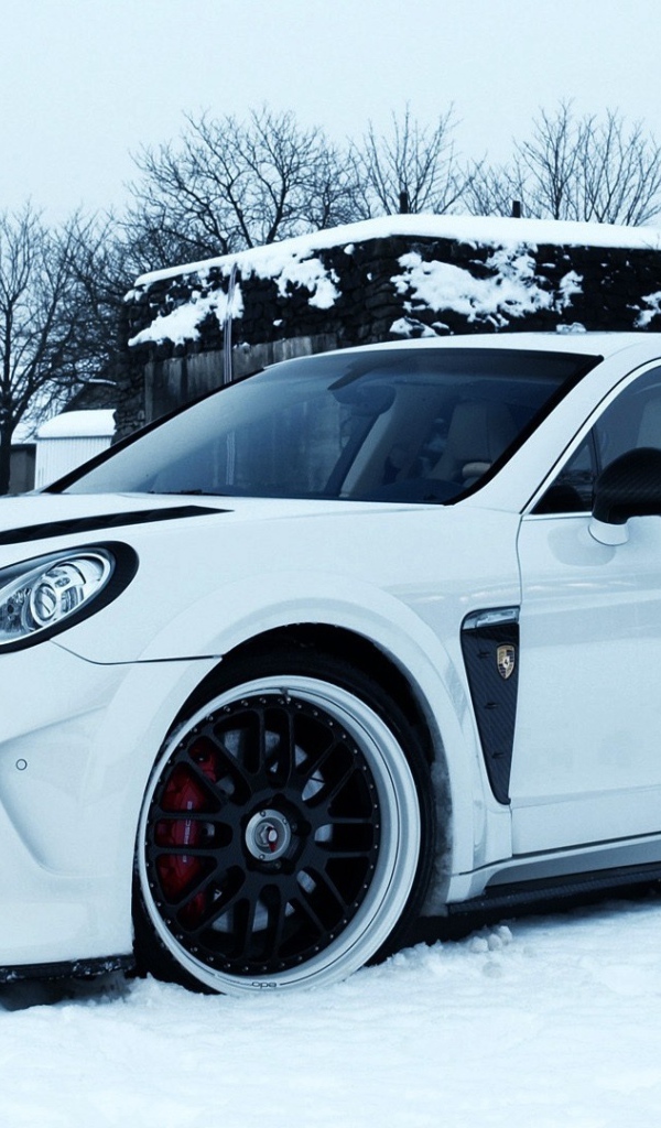 Порш Панамера на снегу