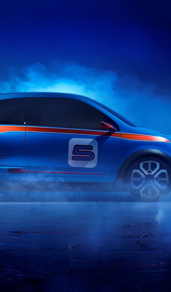 Двух дверный Renault