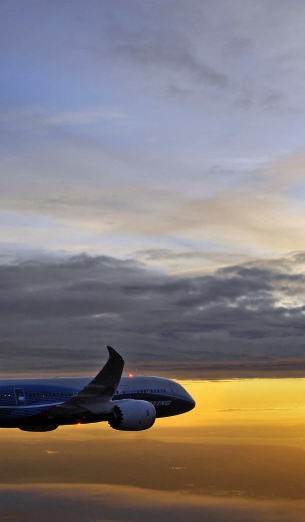 Boeing 787 Dreamliner