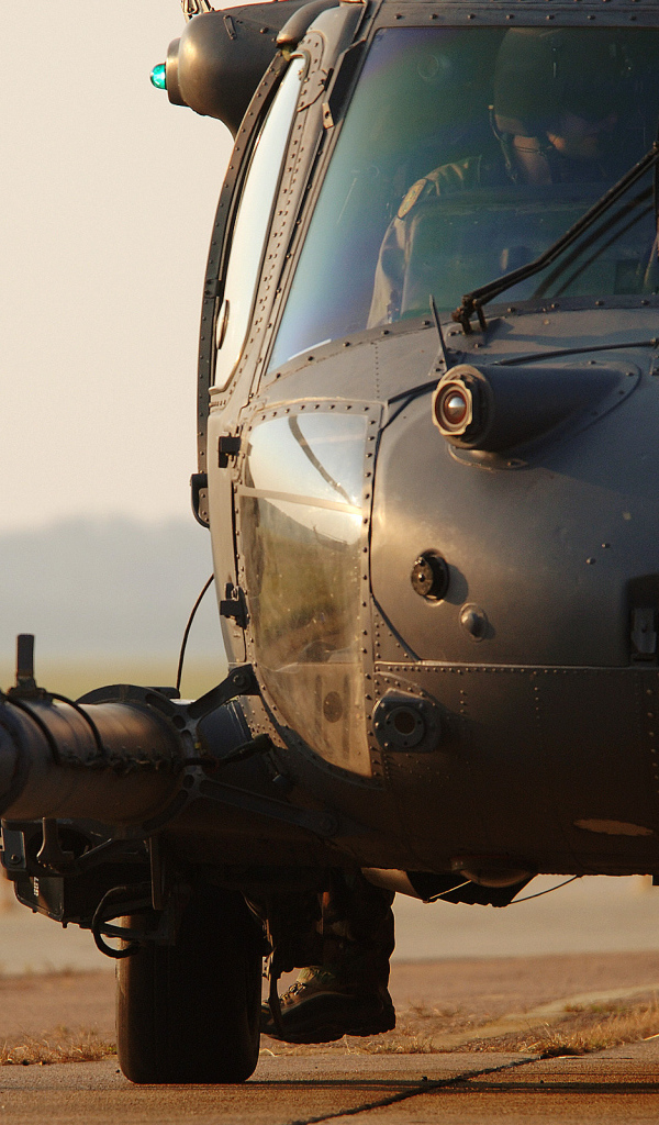 Вертолет и пилот