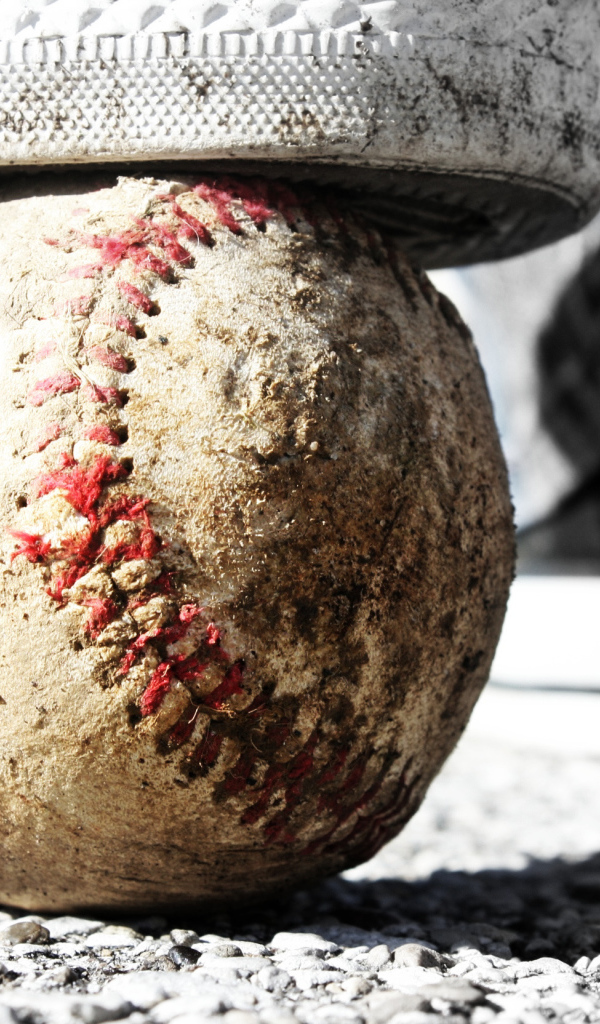 Converse бейсбол