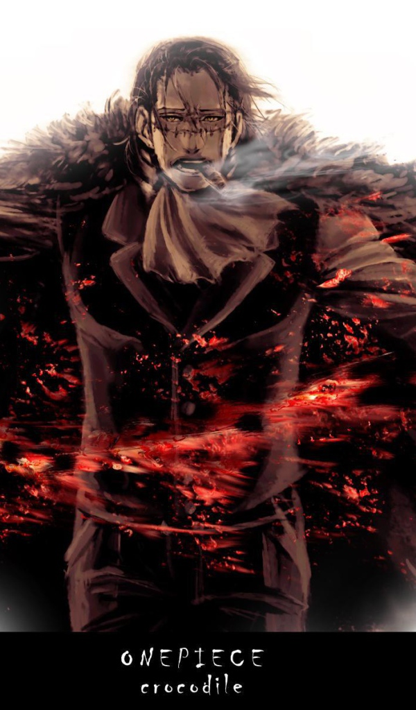 Мультфильм One Piece