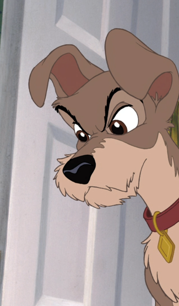 Приключения большого Джеффа