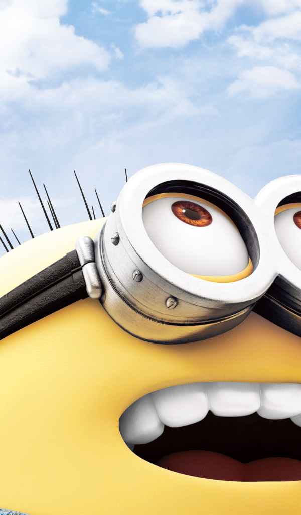 Миньоны миньон следит за небом