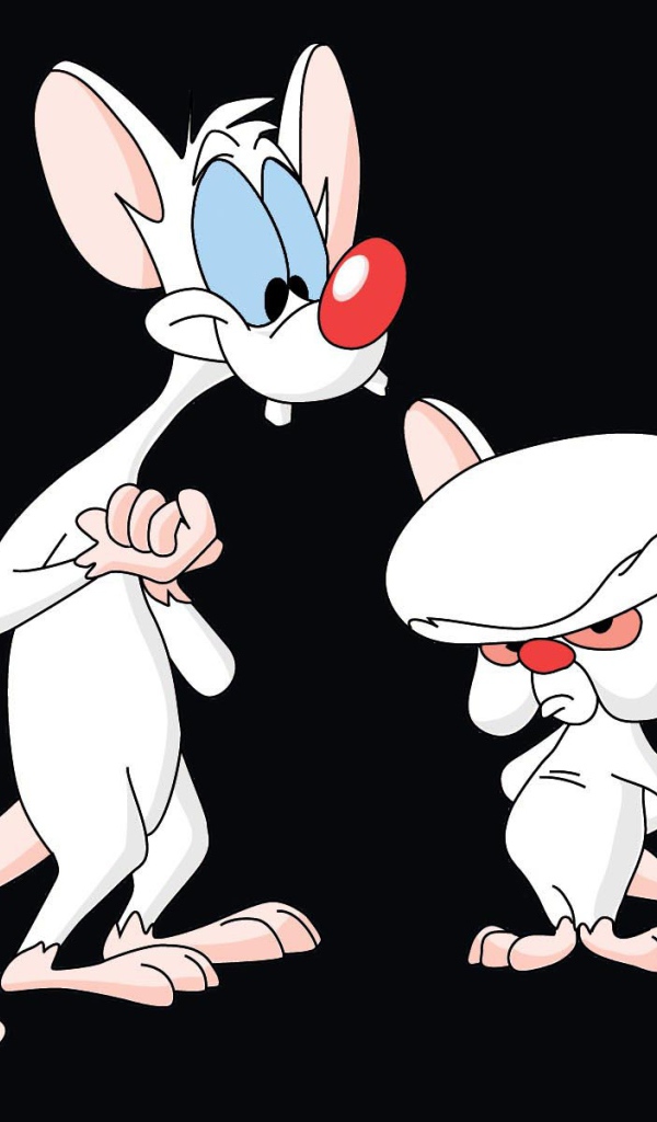 Пинки и Брейн