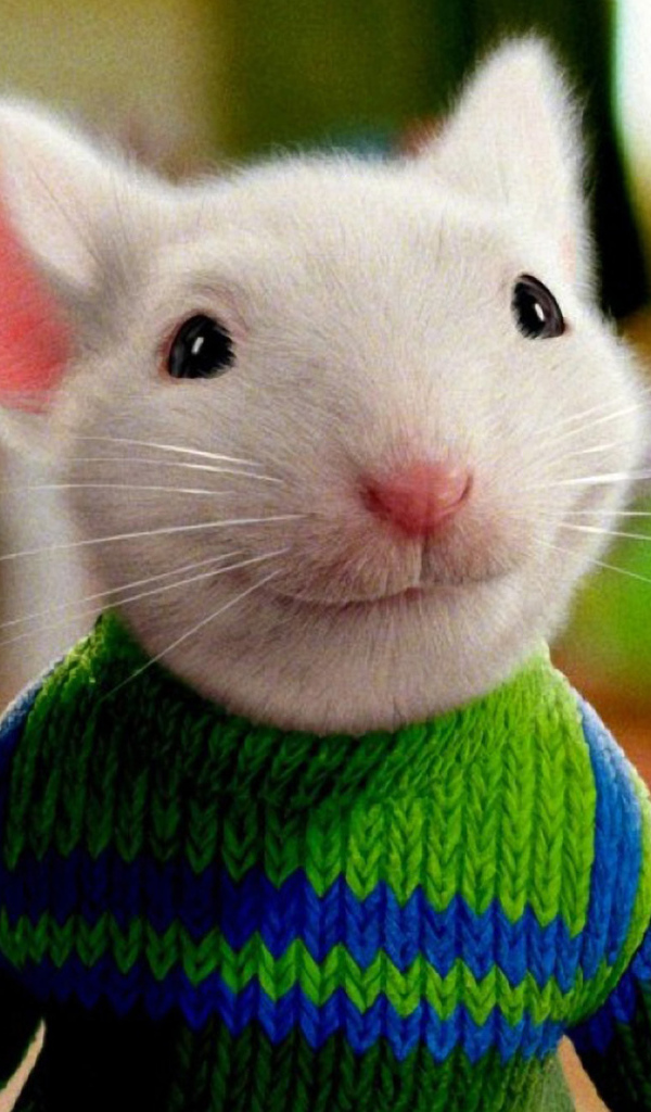 Стюарт Литтл