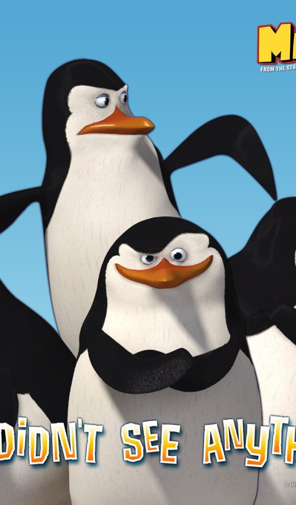 Пингвины из Мадагаскара