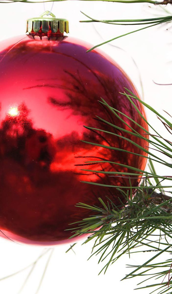 Красный шар на ёлке на рождество
