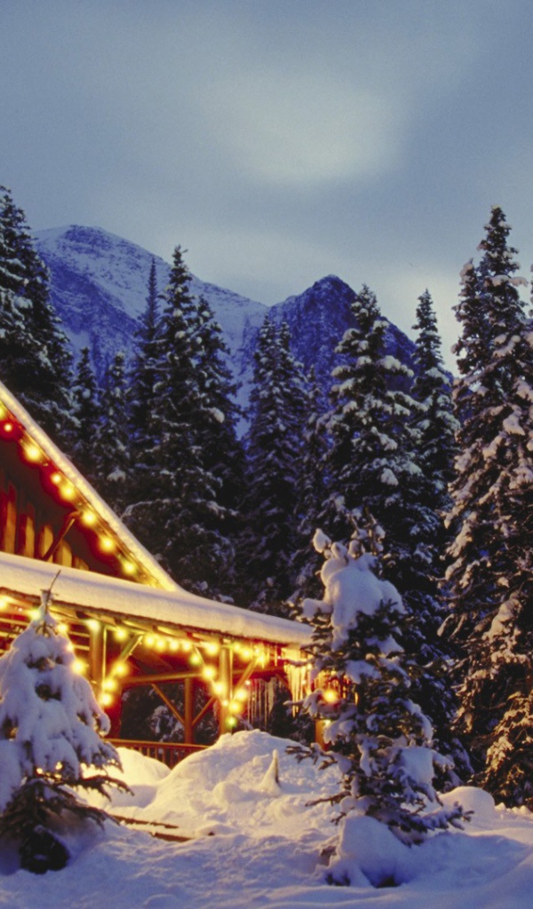 Мерцающий дом на рождество