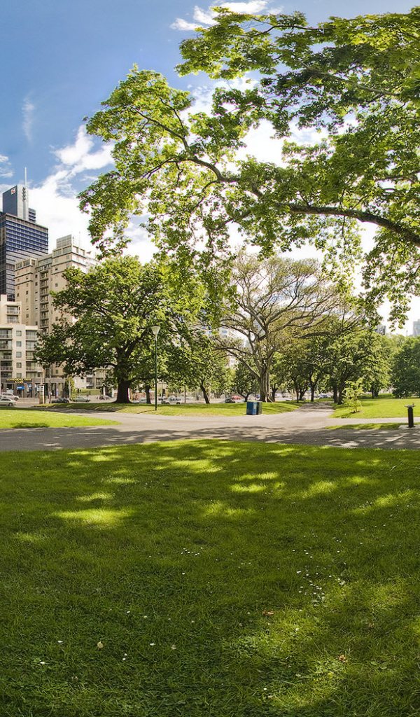 Городской парк летом